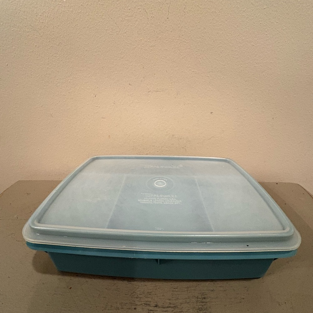 VTG Tupperware Tuppercraft Stow-N-Go Divided Craft Organizer Container